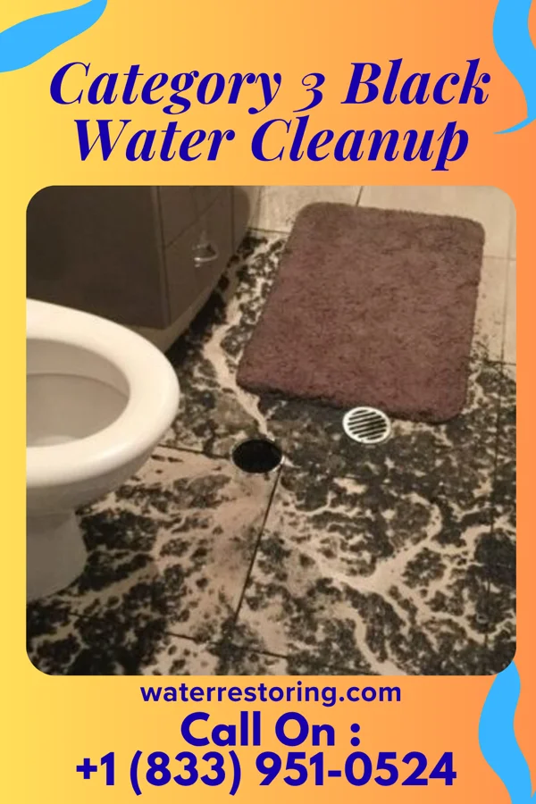 Category 3 Black Water Cleanup in Amalga, UT